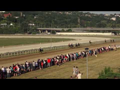 3 7 2022   VI Trka   MaxBet 100  SRPSKI GALOPSKI DERBI   Hipodrom Beogras