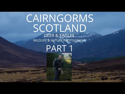 SCOTLAND CAIRNGORMS | WILDLIFE PHOTOGRAPHY | Part 1 | RED DEER & GOLDEN EAGLES