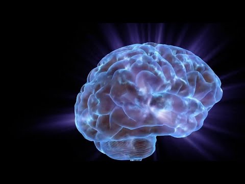 UTSA researchers uncover evidence that COVID-19 virus could enter human brain