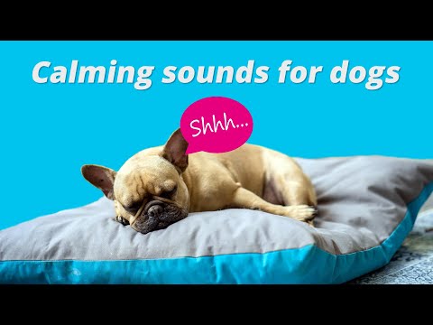 Calming Sounds for Dogs to Sleep, Relax 🐶🎵