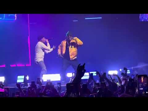 Cochinae - Ñengo Flow King Savagge