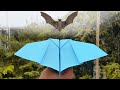 How To Make A Paper Plane Fly Like A Bat Flying Paper Plane Like Bat Cool Design Paper Airplane