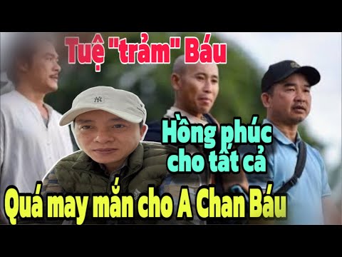 Điều gì sảy ra nếu Minh Tuệ không “trảm” Đoàn Văn Báu, qua mấy mắn cho A Chan và tất cả?