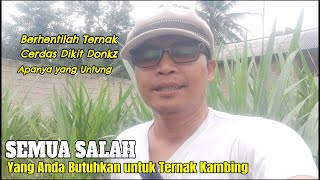 Download lagu JANGAN TERGIUR.. TERNAK KAMBING BANYAK RUGINYA mp3 Download lagu JANGAN TERGIUR.. TERNAK KAMBING BANYAK RUGINYA mp3