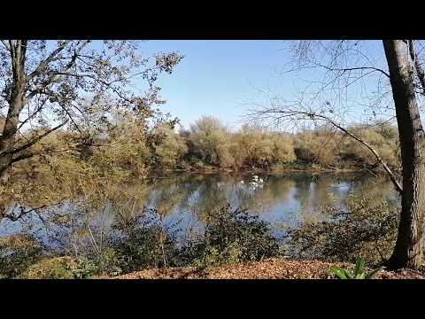 Swan River House - Lasinja, Croatia