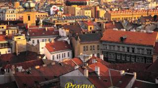 Enigma-The voice of snake