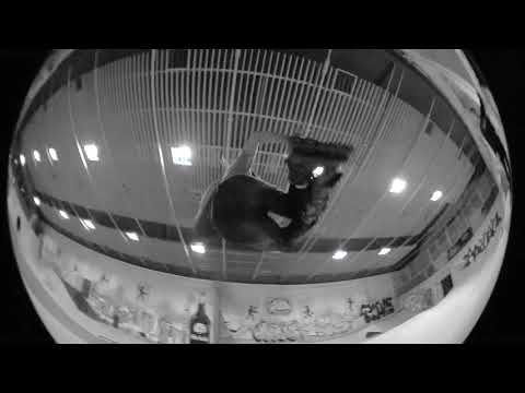 Hedonskate Quick Clips #105: Jakub Olejarz (SIP Katowice)