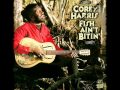 Corey Harris - Preaching Blues
