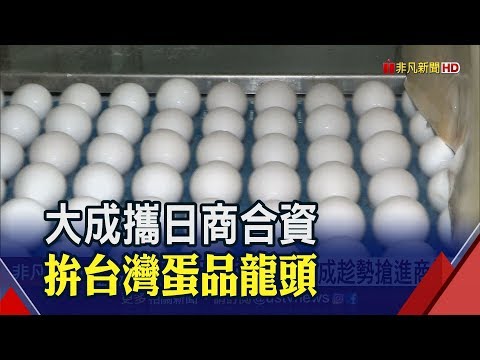 大成初生卵