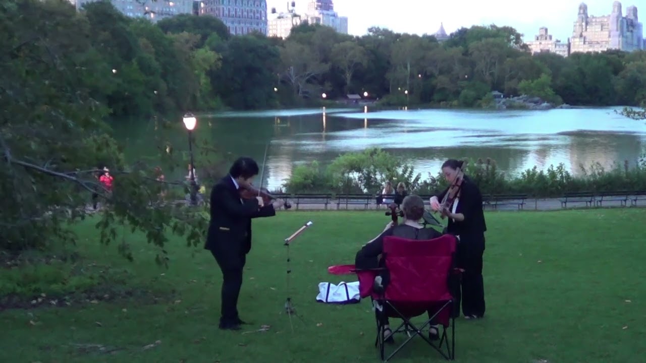 Promotional video thumbnail 21 for Xinou Wei Strings