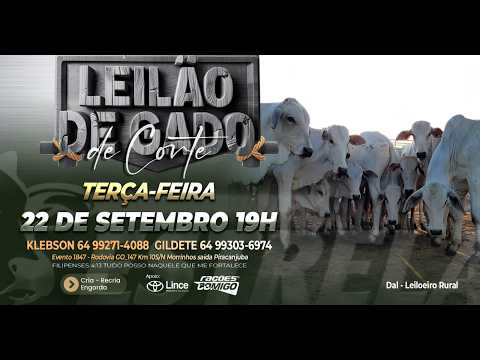 ESTRELA LEILÕES  - AO VIVO - 22/09/2026  -  19H - MORRINHOS - GOIÁS