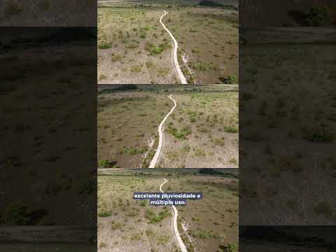 Fazenda em Roraima de 1687 hectares a 40 km da capital Boa Vista