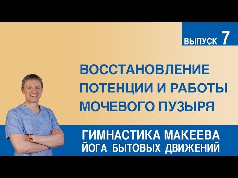 Лекарство артрадол от суставов Если болит поясница дают больничный лист