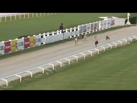 2023.06.30 6. FUTAM - KINCSEM PARK MAGYAR DERBY DÖNTŐ
