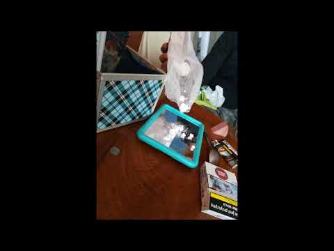 Ptaszek x Fester - do Festera dopiero dociera