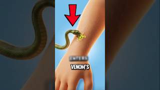 What's Inside Venom! 😱🖤