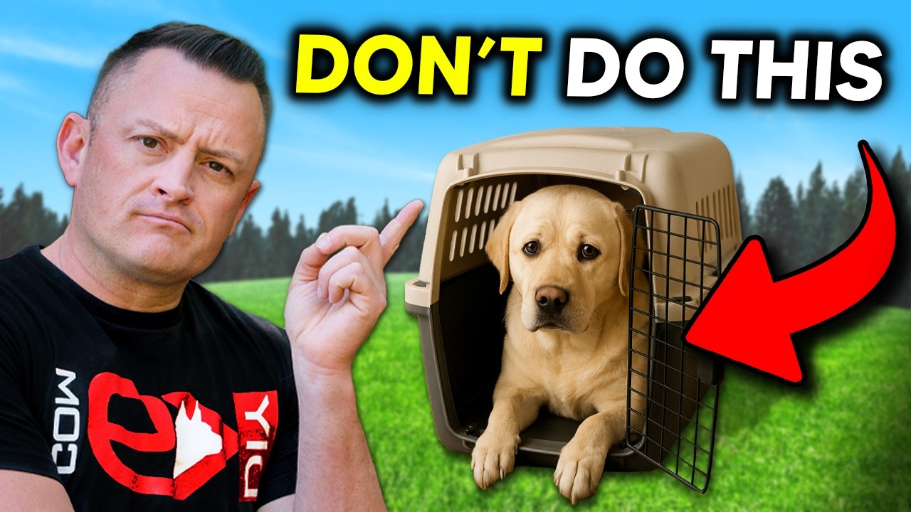 STOP Making These 4 BIG Mistakes With Your Dog!