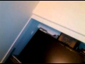 Funniest Video In AMERICA Most Memorable Night Before The Hotel Aha Cayla Jackson