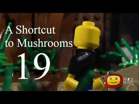 A Shortcut to Mushrooms - Street 19 | Querfeldein zu den Pilzen - Straße 19