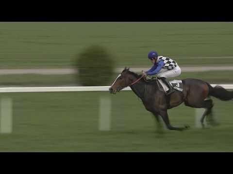 CH, 15. 4. 2018, 8. dostih - CENA VÁŽNICE