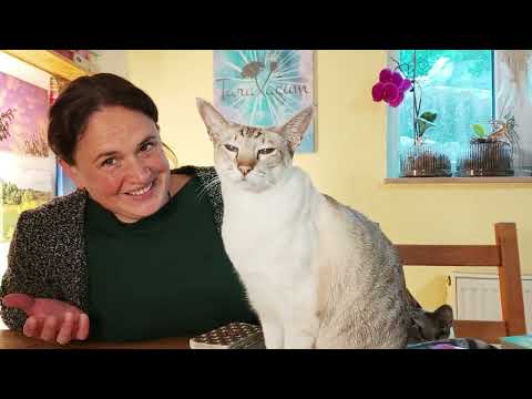 Weekly message 28.09. – 05.10. 🌟 FRIENDLY REMINDER: The UNIVERSE cares for you ✨💖✨