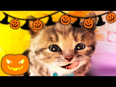Little Kitten & Friends - Learn with the cutest cat! - HALLOWEEN EDITION 🎃