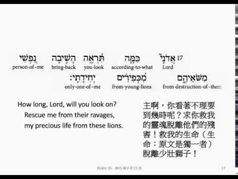 Psalm 35: Hebrew interlinear audio Bible 希伯來文聖經:詩篇第三十五篇