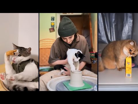 Fails of The Week  😂  EP:8  |  Funny Fails  | Fail Army