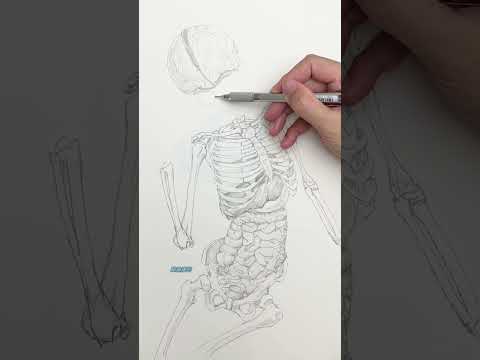 从DNA开始画绯英 #art #illustrationnation #drawing #illustrative #sketch #illustartion