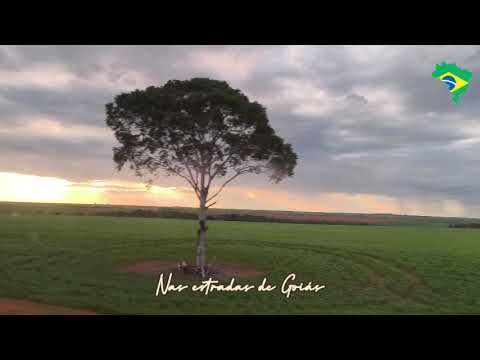 Nas Estradas de Goiás - Goiás #goiás #agro #estrada 