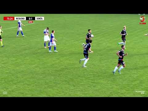 BRAMKI | Wisłoka Dębica - Sokół Sieniawa | 28.04.2024 | #3ligagrupa4 #goals