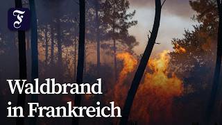 Waldbrand bei Bordeaux: Mehr als 10.000 Menschen wurden evakuiert