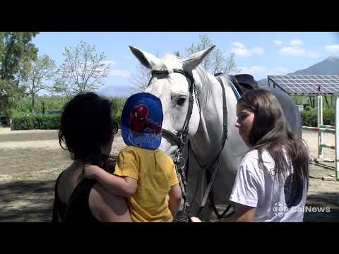 Scalea: al circolo ippico La Bruca il Concorso Ippico Nazionale A 0.