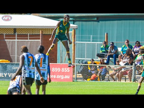 Shane Inkamala Defying Gravity