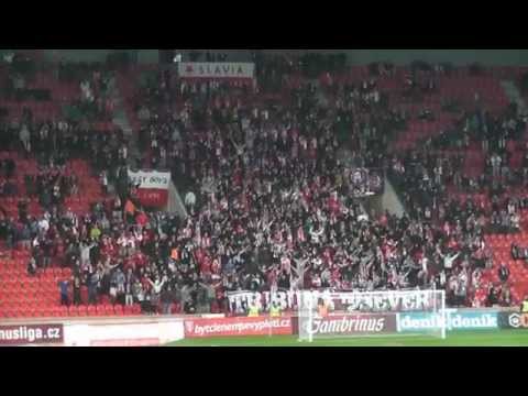 SLAVIA PRAHA - 1.FK Příbram, 2.5 2014