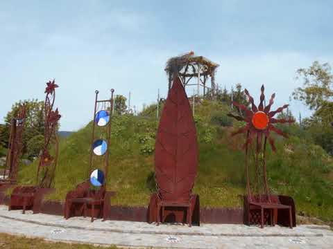 01.06.2021 in Arnbruck