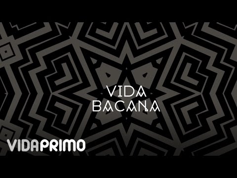 Acido Pantera (ex La Tostadora) - Vida Bacana [Lyric Video]