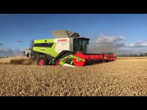 2 x Claas Lexion 8700 with Convio header in wheat harvest, Eastern Germany