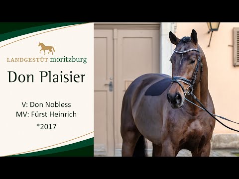 DON PLAISIER v. Don Nobless - Fürst Heinrich