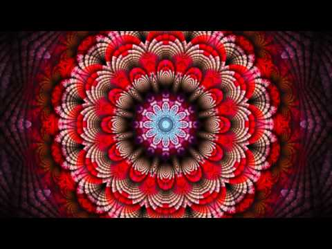 22 Concentração - Hinário Flores de São João - Cristina Tati