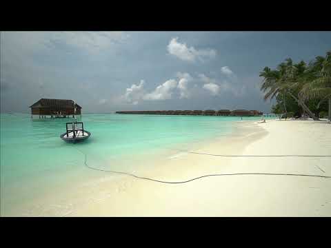 Farruko, Kafu Banton, El Micha - Playa (Slowed + Reverb) [Version Lenta]