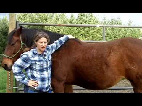 download lagu mp3 mp4 California Trace Minerals, download lagu California Trace Minerals gratis, unduh video klip Download California Trace Minerals Mp3 dan Mp4 Free All Gratis