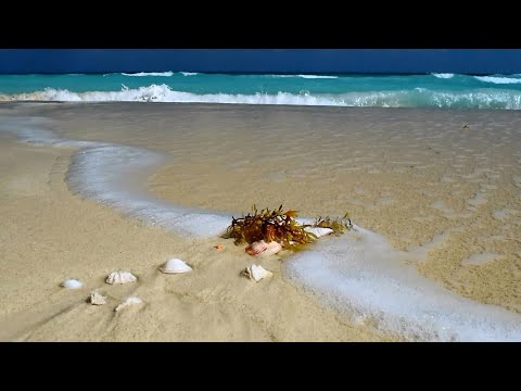 Куба март 2019 Cayo Coco 5*