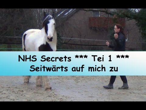 Teil 1: Seitwärts auf mich zu ** Natural Horsemanship Secrets **