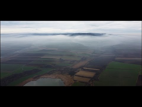 Fruška Gora, Bassianae