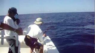 PSFL Crazy Marlin Video