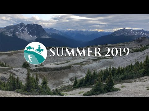 Keeping it alive - Our Summer 2019 Highlights