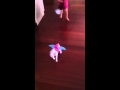 Caitlyn S Dora Horse