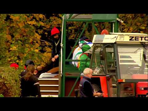 Galopprennbahn Dresden - 21.10.2017 - 7.Rennen