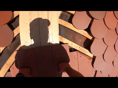 Eingebundene Biberschwanzkehle Biberdach Halle Teil 1 - 06.08.2025